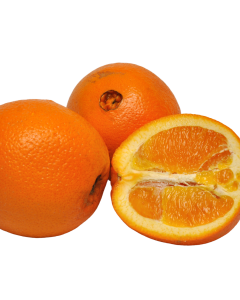Citrus Orange Navel